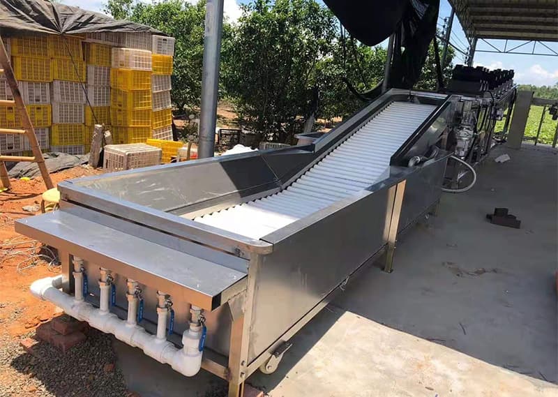 images/1657879324792dragon fruit grader.jpg